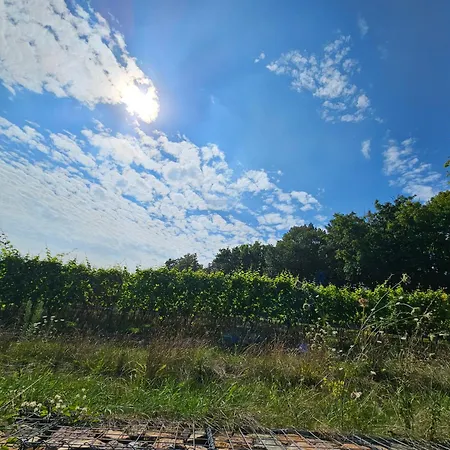 Moderne Doppelhaushaelfte In