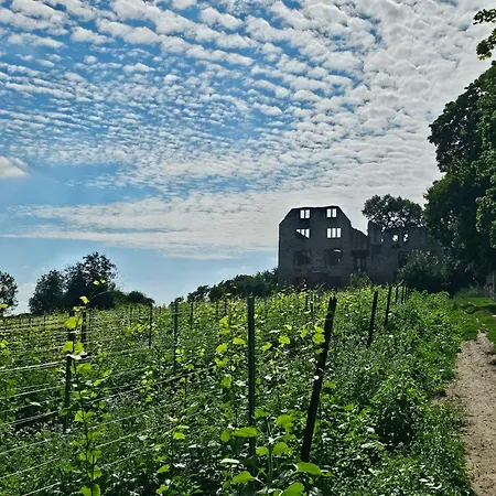 Moderne Doppelhaushaelfte In