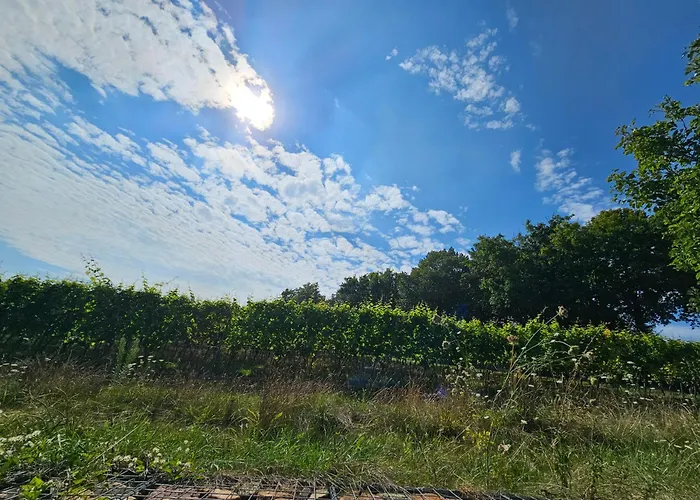 Moderne Doppelhaushaelfte In